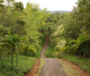 sendero ecologico club campestre cali